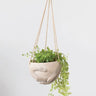 Holding Hands Hanging Planter