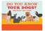 Do You Know Your Dogs? Game