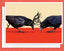 Crow Fight - Greeting Card