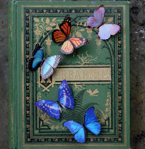 Morphos & Monarch Butterfly Set